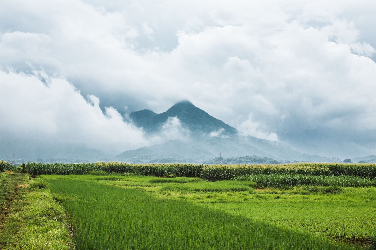 Alt Text: Green fields with a mountain partly covered by clouds in the distance